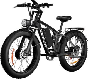 Power Meets Endurance: Our Review of the 2000W Full Suspension Ebike