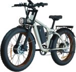 Our Honest Take on the Dual-Motor 35MPH Fat Tire E-Bike Blast