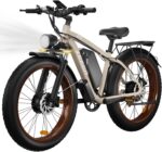 Power Meets Versatility: Our Take on the Dual-Motor 3000W E-Bike